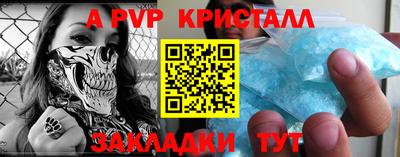 прущие грибы Гатчина