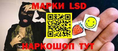 прущие грибы Гатчина