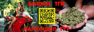 прущие грибы Гатчина