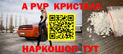 прущие грибы Гатчина